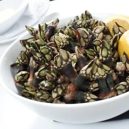 Casa Magnolia Villa Matas (Lisbon)