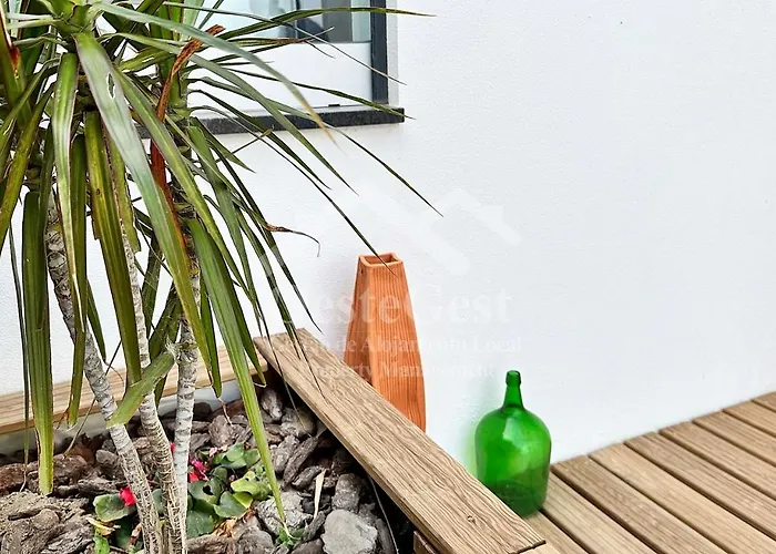 Casa Magnolia Matas (Lisbon)