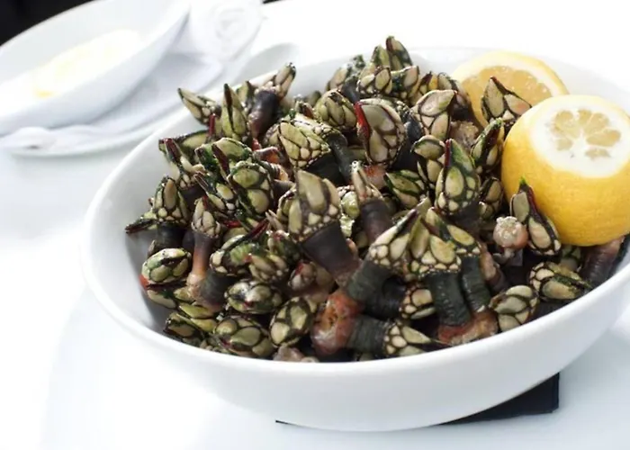 Casa Magnolia فيلة Matas (Lisbon)